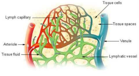 Can Air Compression Boots Really Help Lymph Circulation? - Ask Dr. P ...